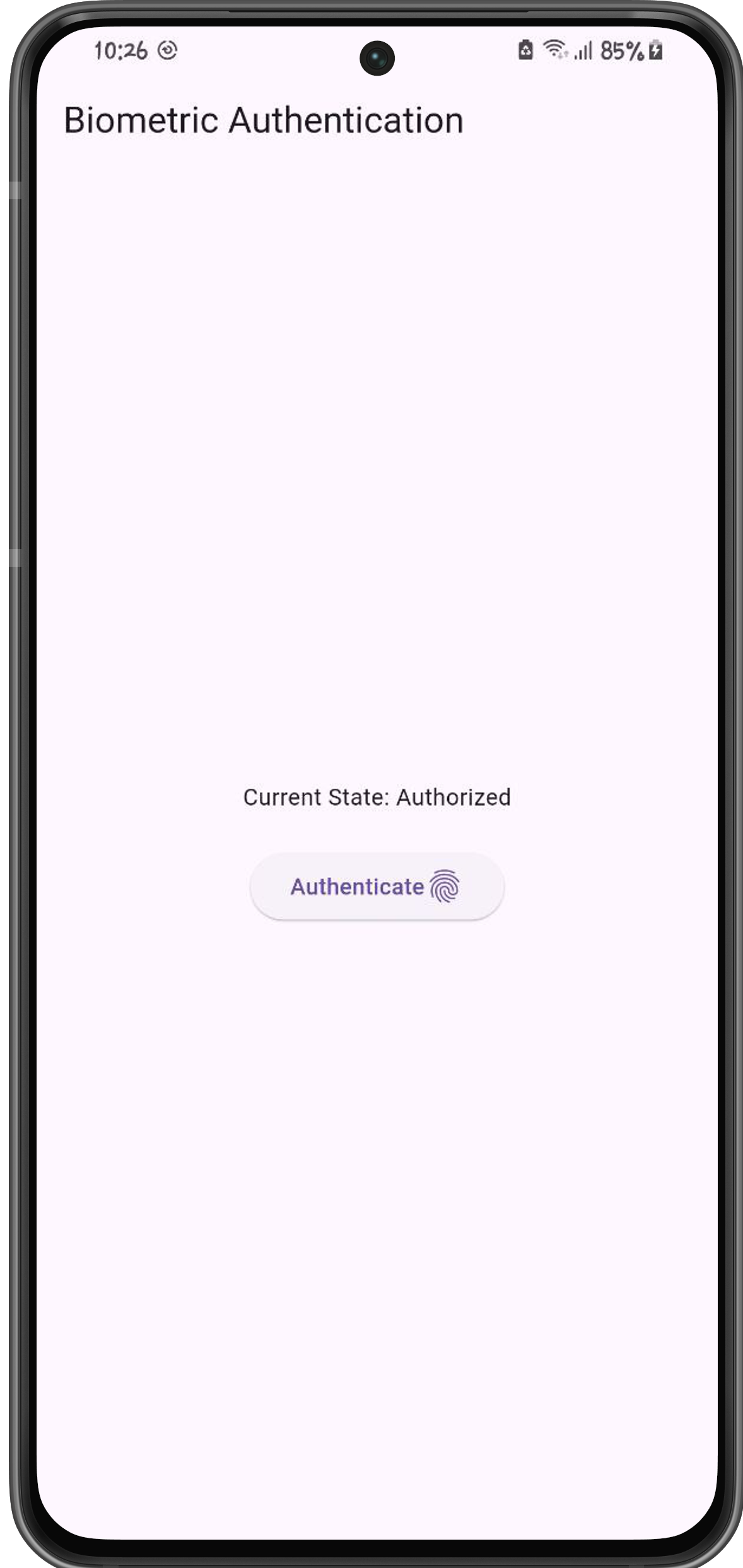 Screenshot of the app