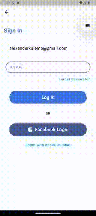 Loading Indicator Example