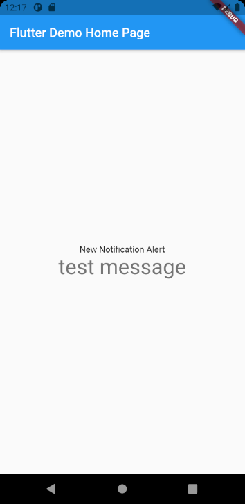flutter demo display